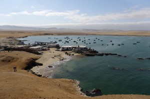 DSC05692  